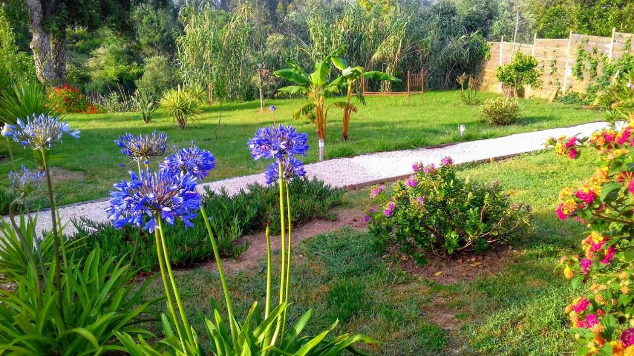 Bed and Breakfast Casa Do Sobreiro 2 Serra das Alhadas Exterior foto