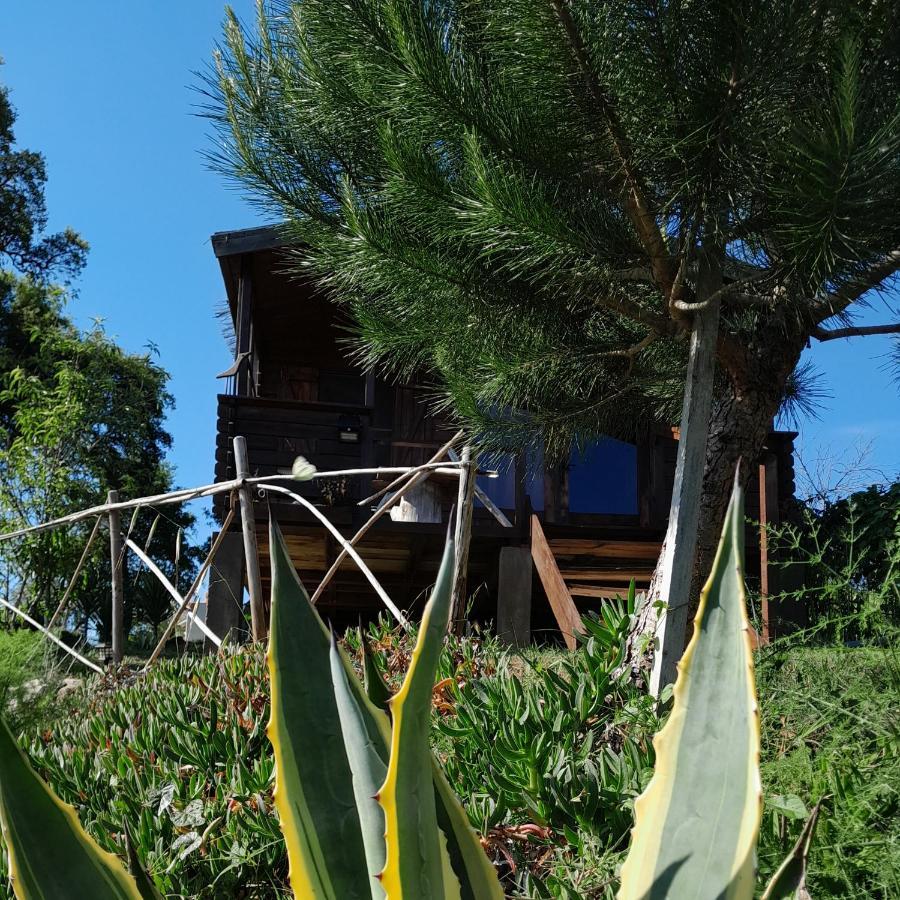 Bed and Breakfast Casa Do Sobreiro 2 Serra das Alhadas Exterior foto