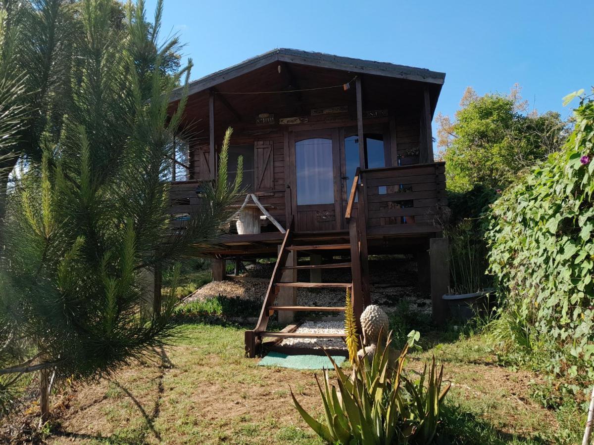 Bed and Breakfast Casa Do Sobreiro 2 Serra das Alhadas Exterior foto