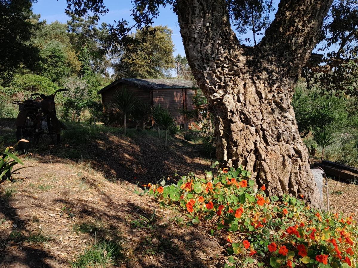Bed and Breakfast Casa Do Sobreiro 2 Serra das Alhadas Exterior foto