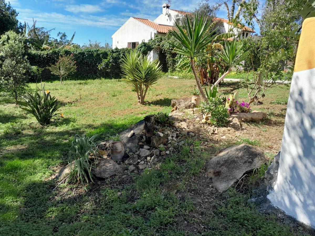Bed and Breakfast Casa Do Sobreiro 2 Serra das Alhadas Exterior foto